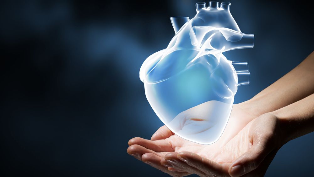 Vědci: Před smrtí se srdce často několikrát zastaví a rozběhne